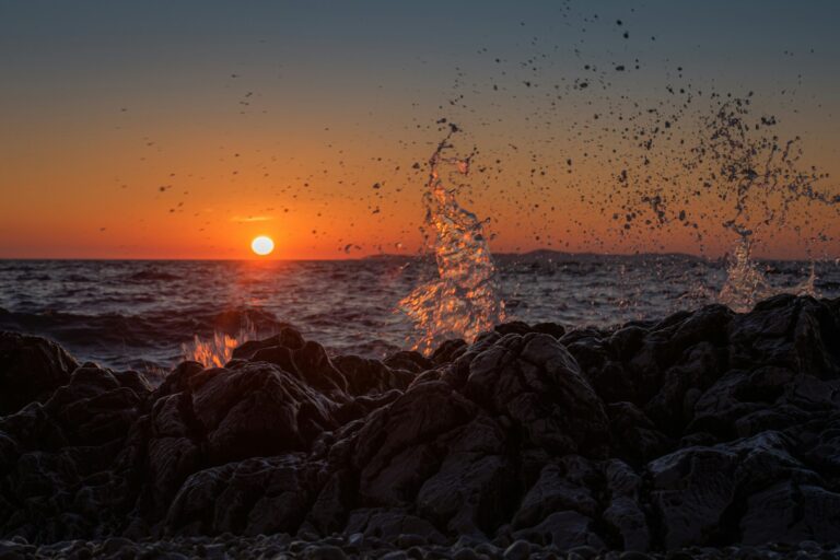 Camp Adriatic Primošten - Bild 3