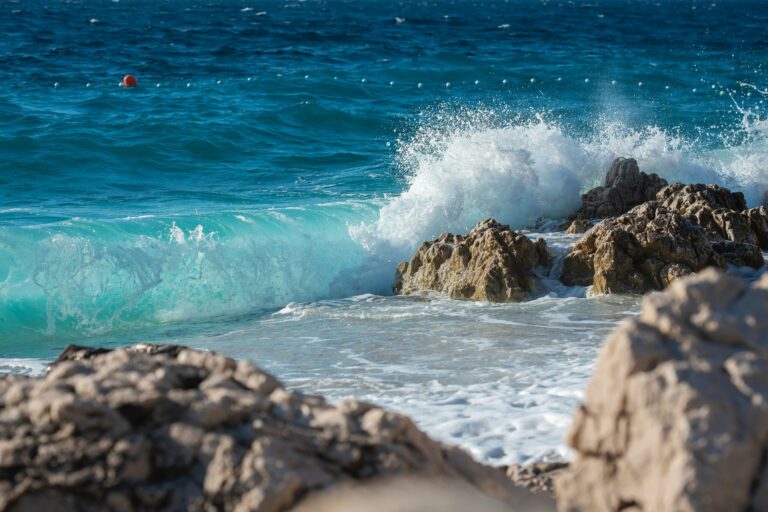 Camp Adriatic Primošten - Bild 7