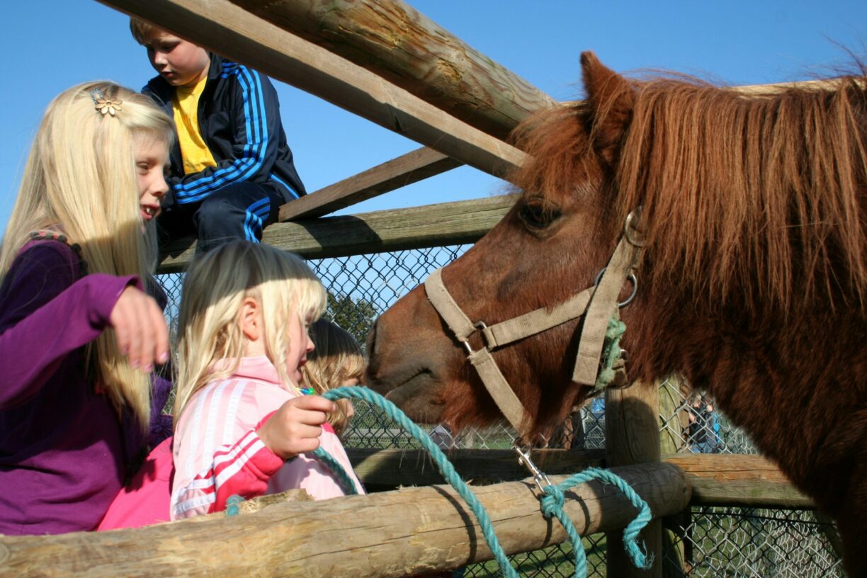 Camp Hverringe - Bild 9 Camp Hverringe - Bild 9