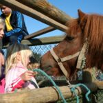 Camp Hverringe - Bild 9 Camp Hverringe - Bild 9