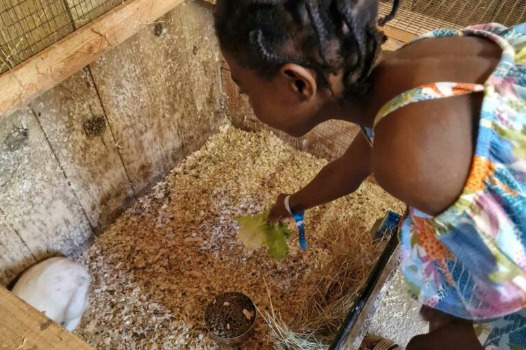 Camp Les P'tites Maisons Dans La Prairie - Bild 12