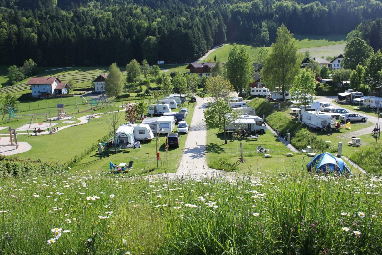 Camp Mondseeland - Bild 5 Camp Mondseeland - Bild 5