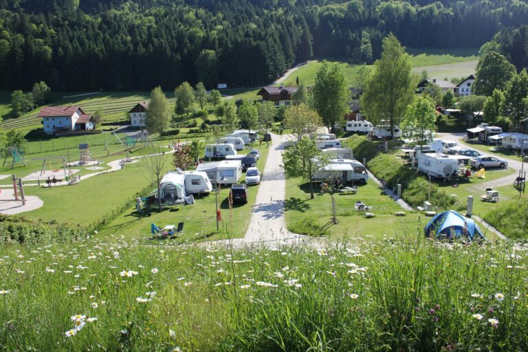 Camp Mondseeland - Bild 5 Camp Mondseeland - Bild 5