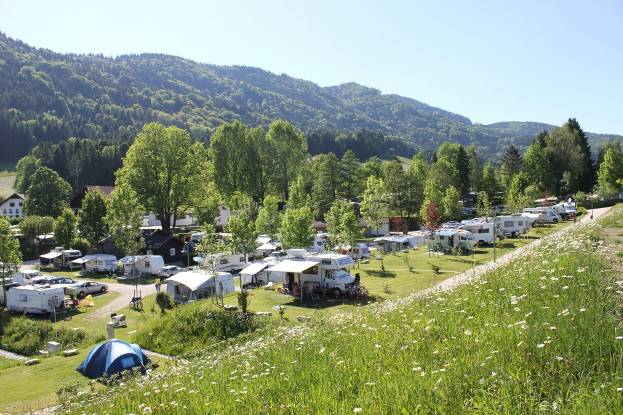 Camp Mondseeland - Bild 6 Camp Mondseeland - Bild 6