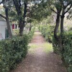 Campeggio Bocca Di Cecina - Bild 7