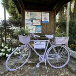 Campeggio Bocca Di Cecina - Bild 8