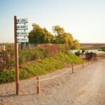 Camper Park Playas De Luz - Bild 14 Camper Park Playas De Luz - Bild 14