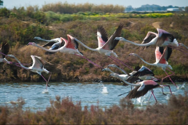 Camper Park Playas De Luz - Bild 18 Camper Park Playas De Luz - Bild 18