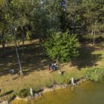 Campilô - Bild 10 Campilô - Bild 10