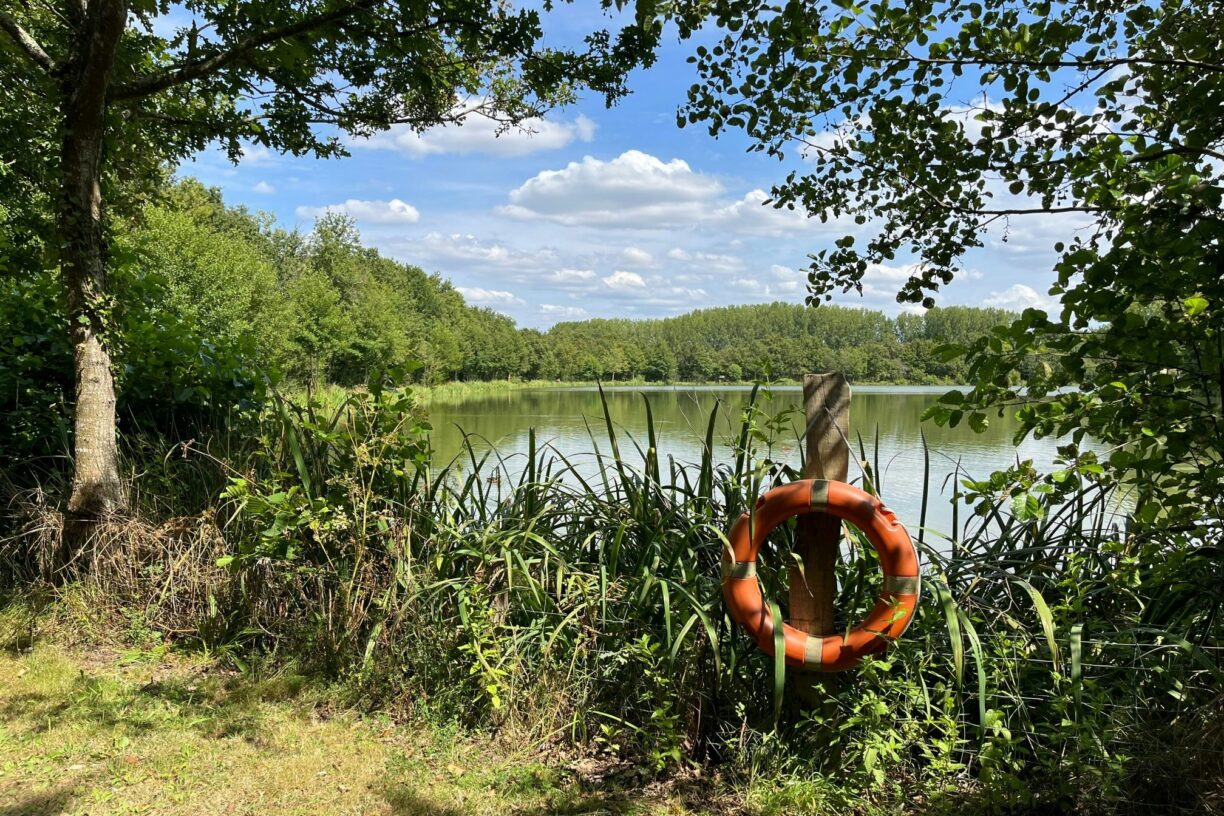 Campilô - Bild 6 Campilô - Bild 6