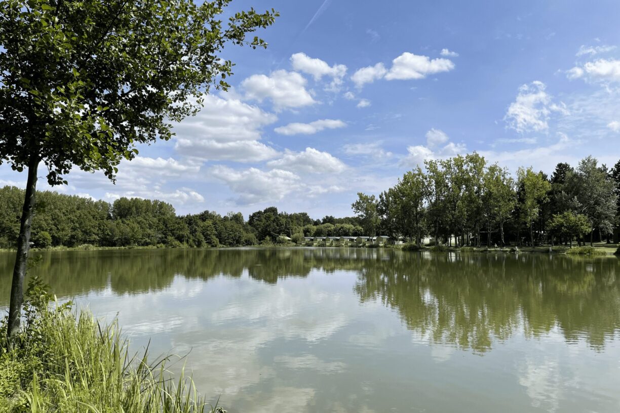 Campilô - Bild 9 Campilô - Bild 9