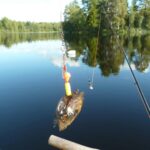 Camping 45 - Bild 15