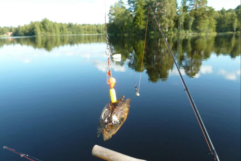 Camping 45 - Bild 15