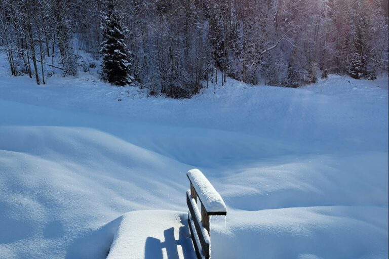 Camping Aach - Bild 13