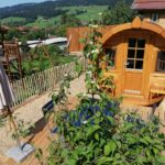 Camping Aach - Bild 8