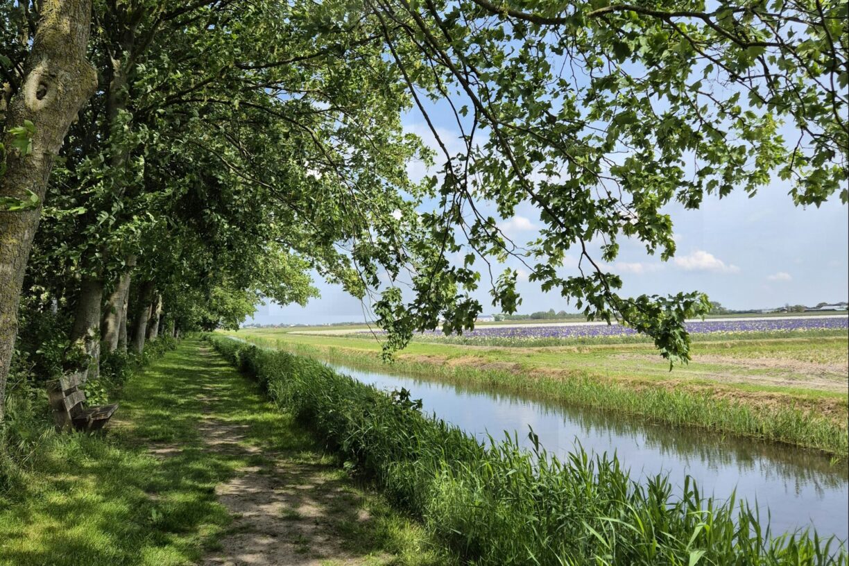 Camping Aan Noordzee - Bild 18 Camping Aan Noordzee - Bild 18