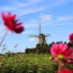 Camping Aan Noordzee - Bild 2 Camping Aan Noordzee - Bild 2