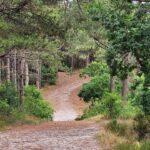 Camping Aan Noordzee - Bild 3 Camping Aan Noordzee - Bild 3