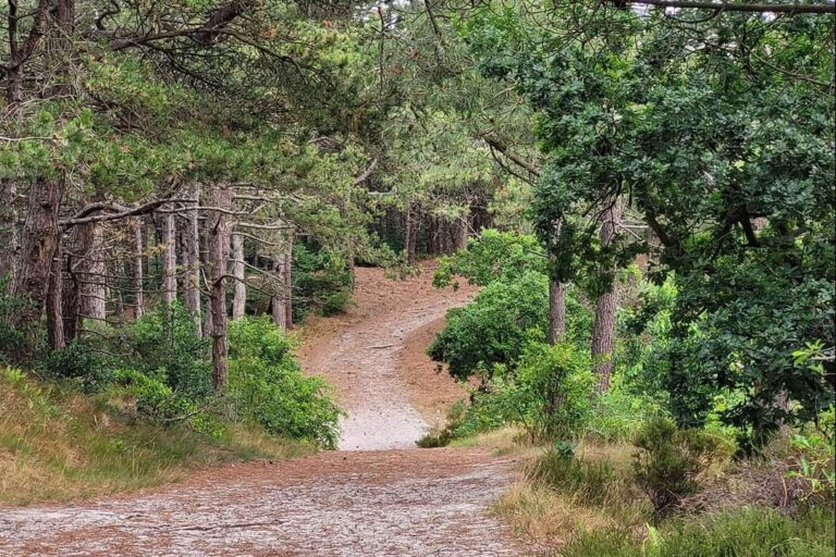 Camping Aan Noordzee - Bild 3 Camping Aan Noordzee - Bild 3