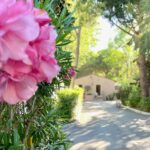 Camping Abri De Camargue - Bild 19