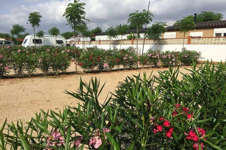 Camping Alegría Del Mar - Bild 11