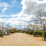 Camping Alegría Del Mar - Bild 6