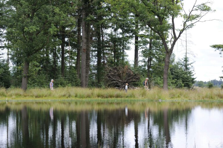 Camping Alkenhaer - Bild 20