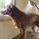 Camping Am Königsberg - Bild 13 Camping Am Königsberg - Bild 13