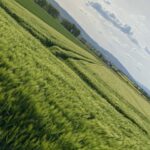 Camping Am Waldbad Hameln - Bild 10