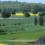 Camping Am Waldbad Hameln - Bild 17