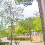 Camping Ametlla - Bild 11