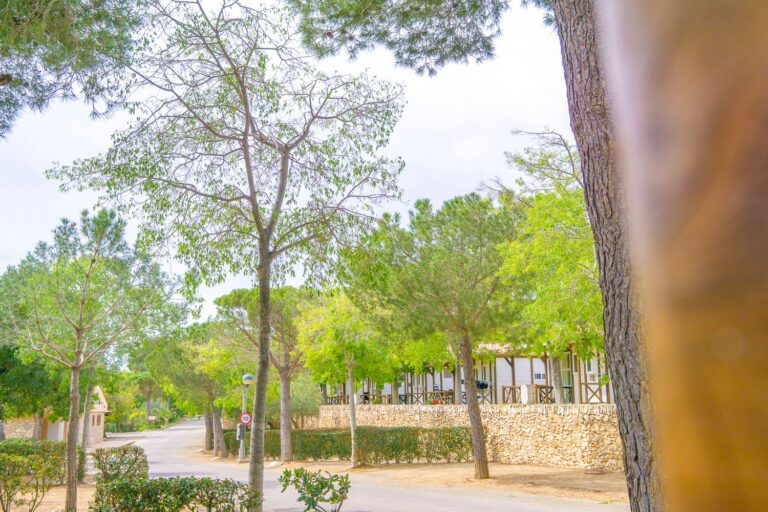 Camping Ametlla - Bild 11