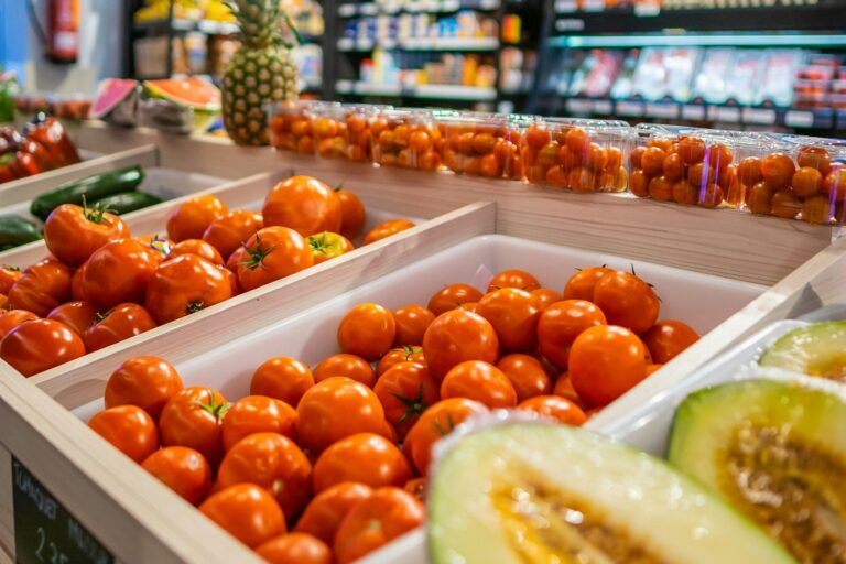 Camping Ametlla - Bild 17