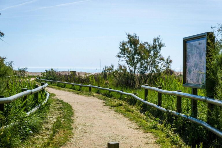 Camping Aquarius - Bild 18