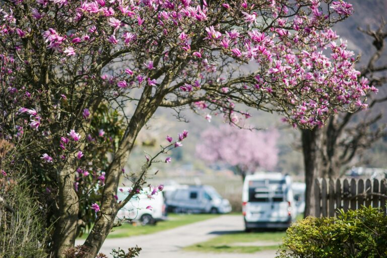 Camping Arquin - Bild 3