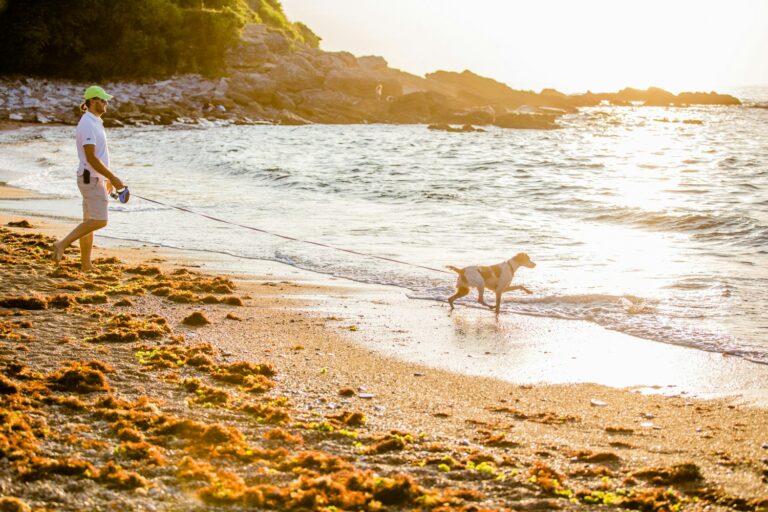 Camping Atlantica - Ciela Village - Bild 5