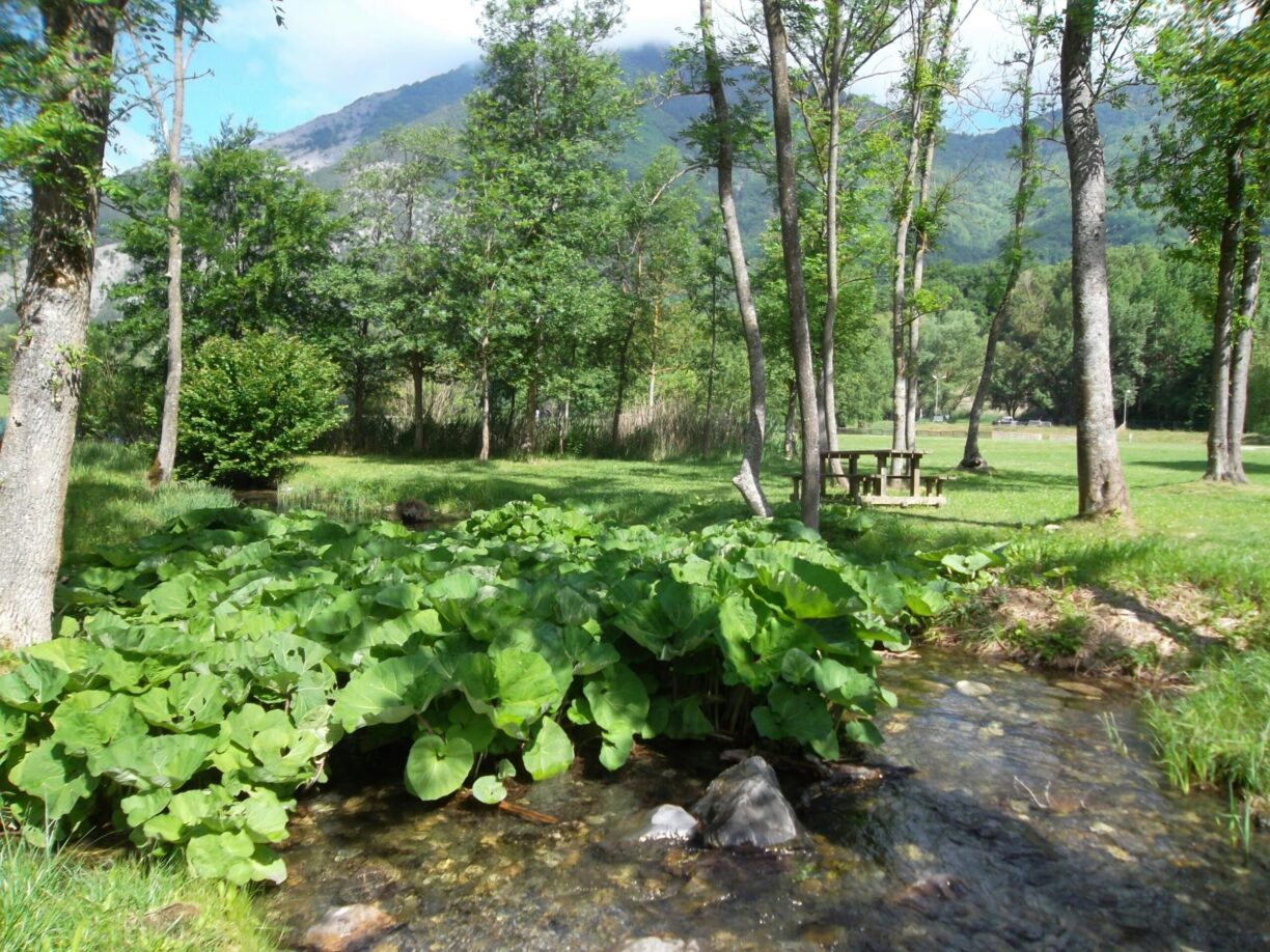 Camping Au Valbonheur - Bild 2 Camping Au Valbonheur - Bild 2