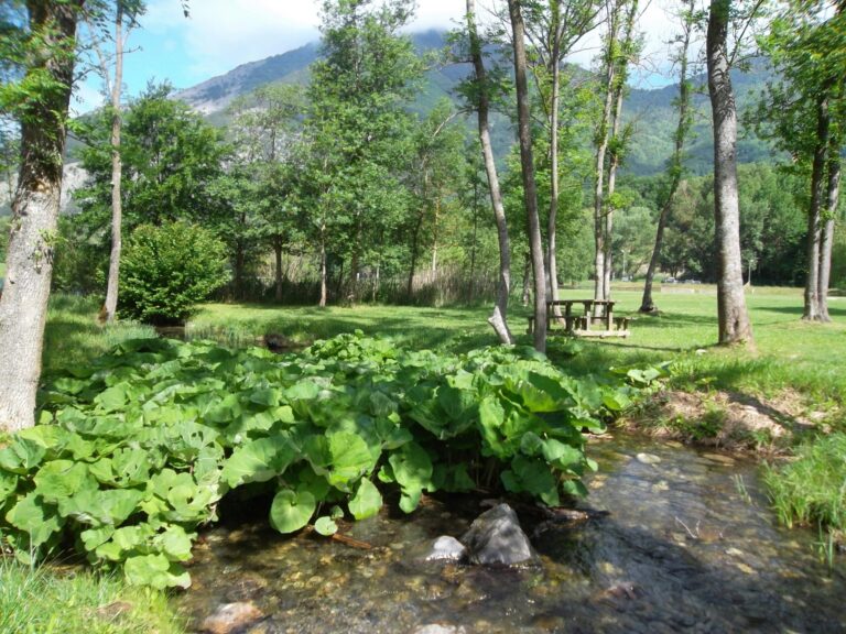 Camping Au Valbonheur - Bild 2 Camping Au Valbonheur - Bild 2