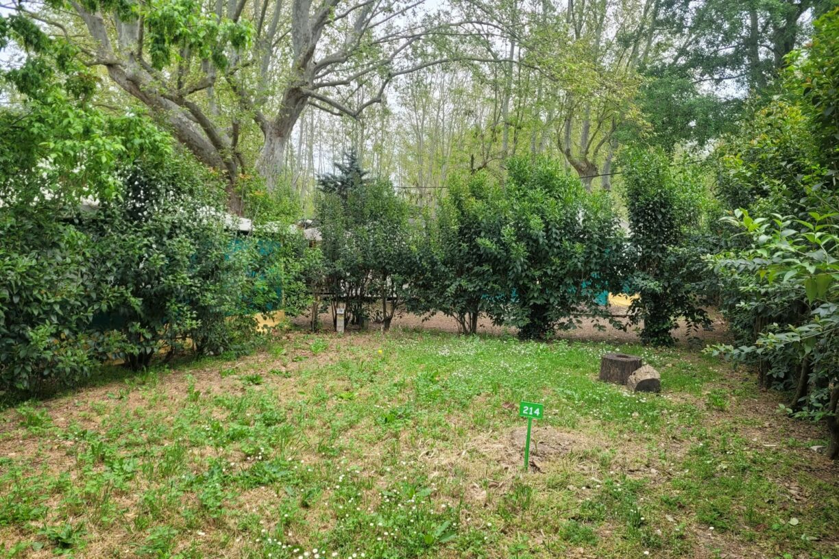 Camping Bagatelle - Bild 6 Camping Bagatelle - Bild 6