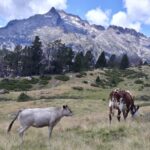 Camping Beau Rivage - Bild 6 Camping Beau Rivage - Bild 6