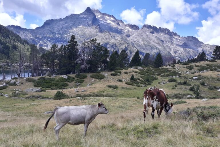 Camping Beau Rivage - Bild 6 Camping Beau Rivage - Bild 6