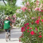 Camping Beauregard Plage - Bild 20