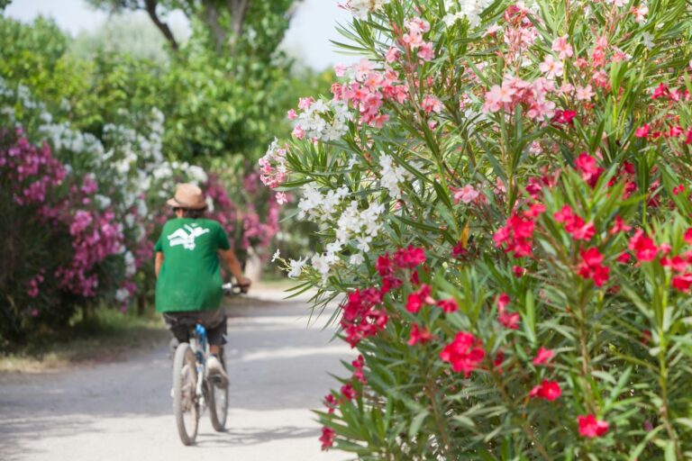 Camping Beauregard Plage - Bild 20