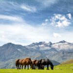 Camping Bedura Park - Bild 19