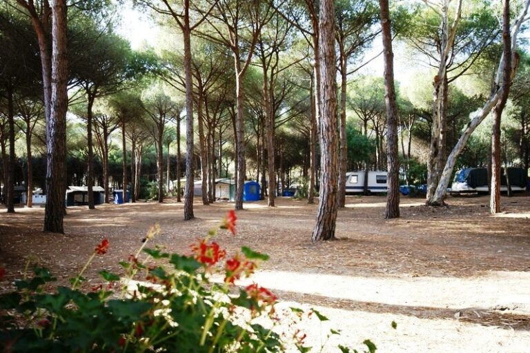 Camping Bella Sardinia - Bild 11