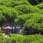 Camping Bella Sardinia - Bild 14