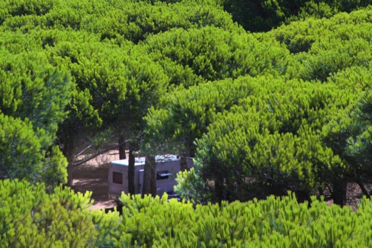 Camping Bella Sardinia - Bild 14