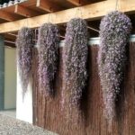 Camping Bella Sardinia - Bild 20