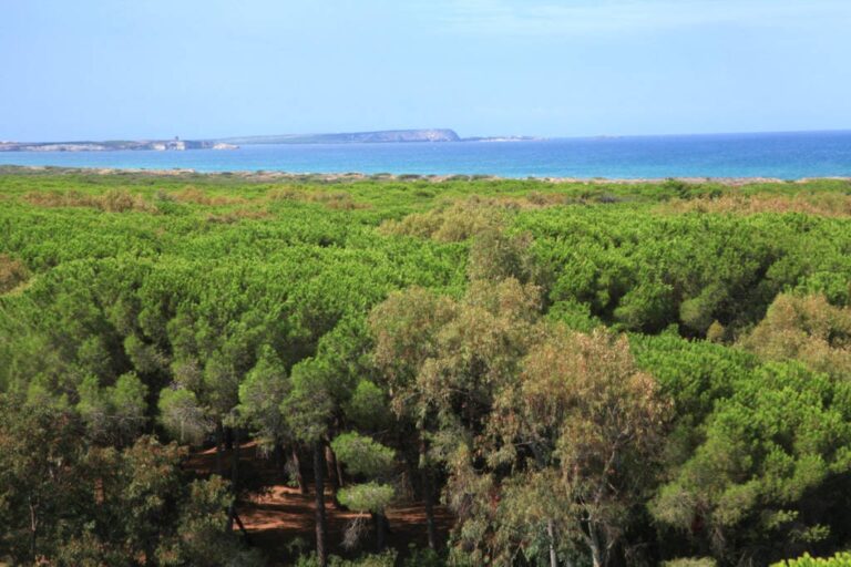 Camping Bella Sardinia - Bild 1 Camping Bella Sardinia - Bild 1