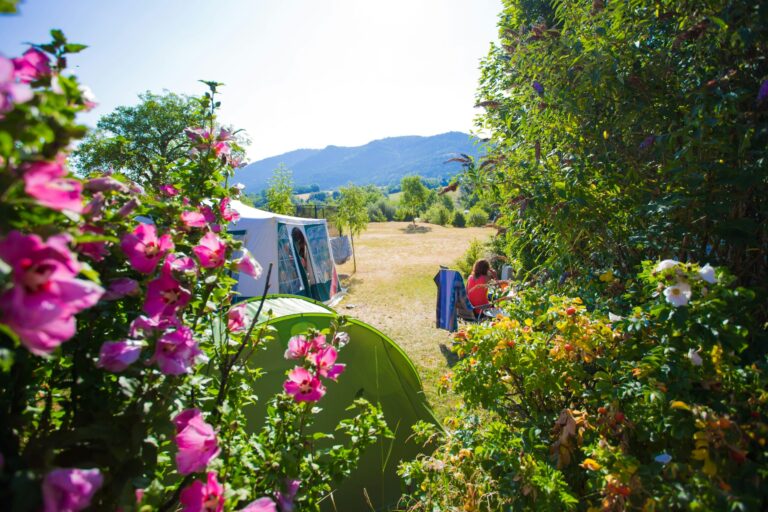 Camping Belle Roche - Bild 7